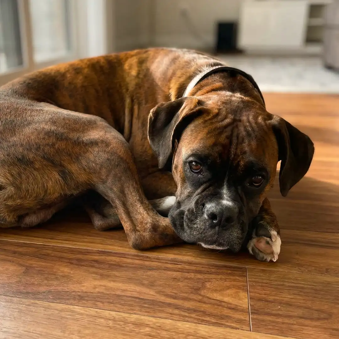 Underfloor heating services